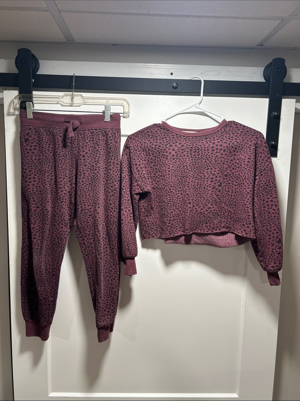 Z Supply Dusty Plum Microprint Cropped Sweatshirt & Joggers